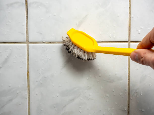 Best Mold Damage Repair  in San Pablo, CA