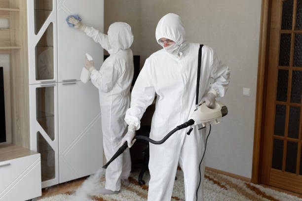 Professional Mold Removal in San Pablo, CA