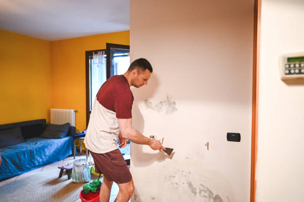 Best Mold Removal Company Near Me  in San Pablo, CA